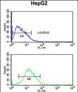 Rabbit Polyclonal Antibody to PARP16
