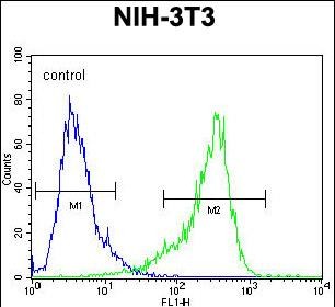 Rabbit Polyclonal Antibody to CYP26A1