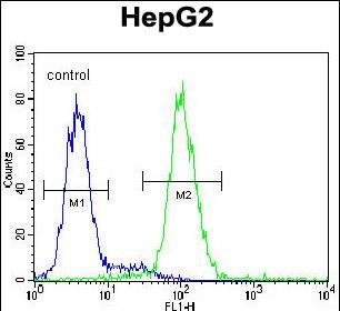 Rabbit Polyclonal Antibody to PSMD7