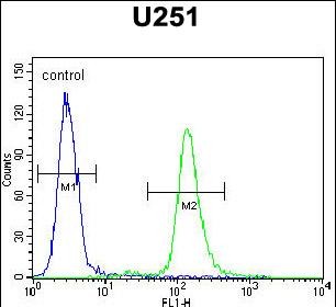 Rabbit Polyclonal Antibody to ACAP3  (N-term)