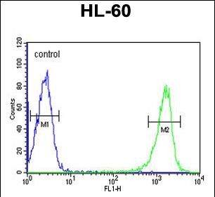 Rabbit Polyclonal Antibody to PSME1