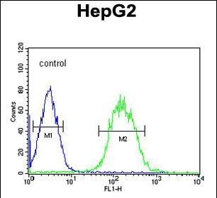 Rabbit Polyclonal Antibody to SFRS16