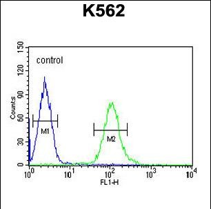 Rabbit Polyclonal Antibody to UBAC1