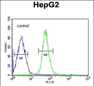 Rabbit Polyclonal Antibody to HMGA2