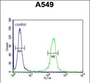 Rabbit Polyclonal Antibody to C14orf179