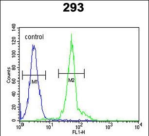 Rabbit Polyclonal Antibody to IFT172 (N-term)