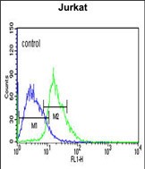 Rabbit Polyclonal Antibody to EHMT2 (N-term)