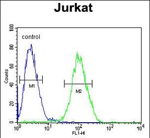 Rabbit Polyclonal Antibody to RPS3A