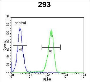 Rabbit Polyclonal Antibody to KCT2