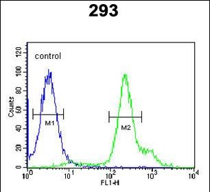 Rabbit Polyclonal Antibody to RBM24  (N-term)