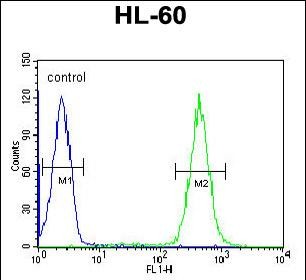 Rabbit Polyclonal Antibody to APOBEC2 (N-term)