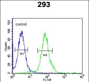 Rabbit Polyclonal Antibody to RTKN2 (N-term)