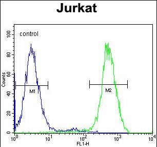 Mouse Monoclonal Antibody to RPS6KB2