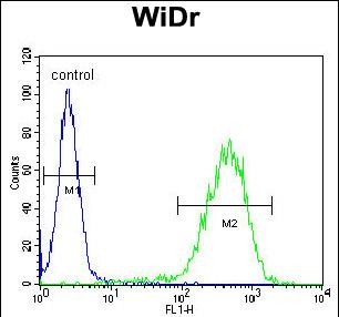 Rabbit Polyclonal Antibody to CHCHD2