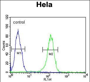 Rabbit Polyclonal Antibody to TMEM214 (N-term)
