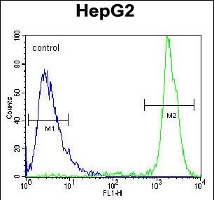 Rabbit Polyclonal Antibody to GPAM