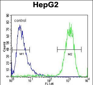 Rabbit Polyclonal Antibody to ATP5H