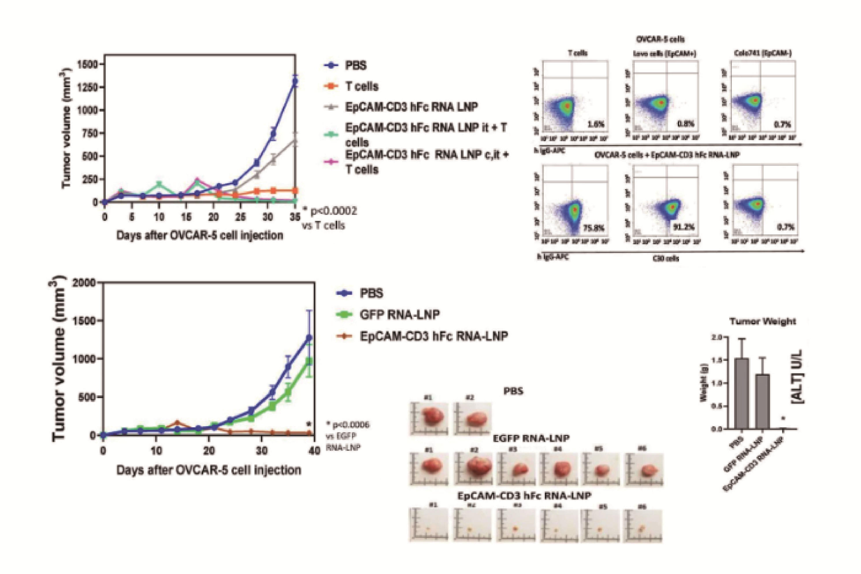 mRNA-LNP CRO