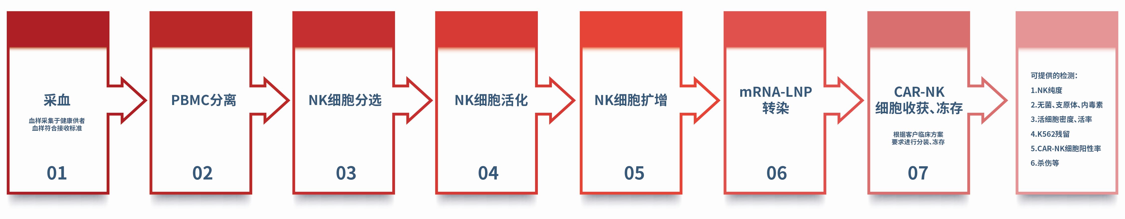 CAR-NK细胞制备工艺流程