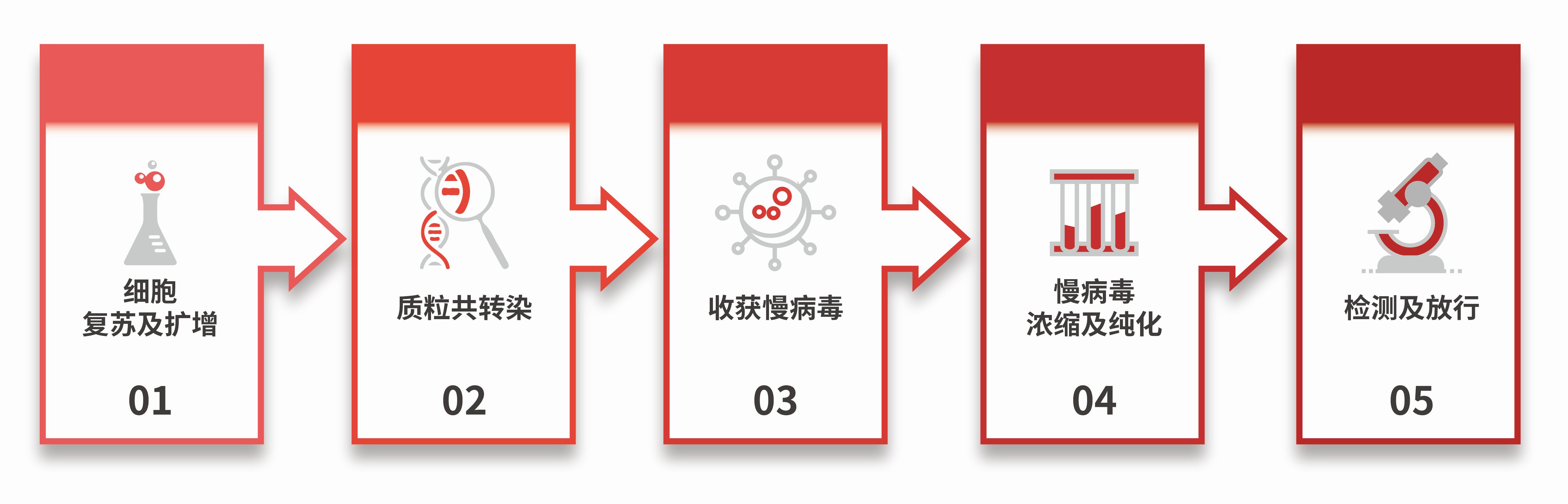慢病毒载体构建爆_慢病毒载体包装