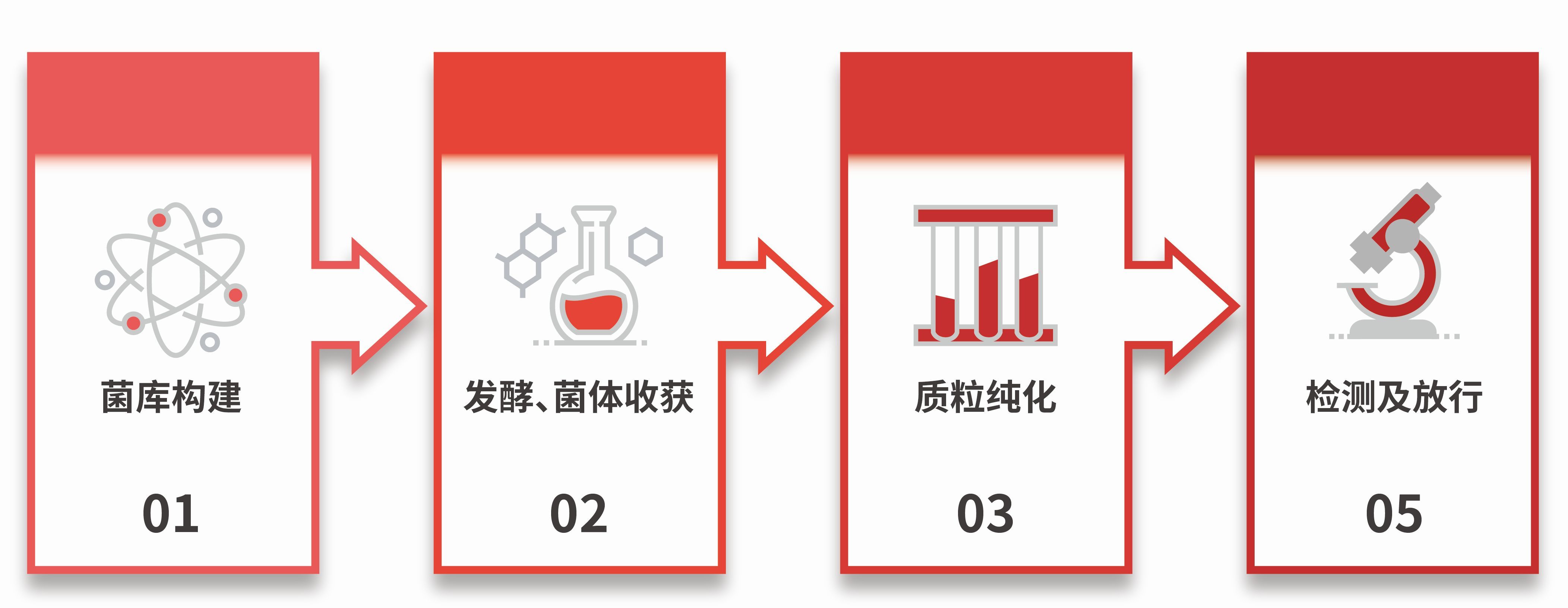 质粒制备,IIT级别质粒制备,IND级别质粒制备