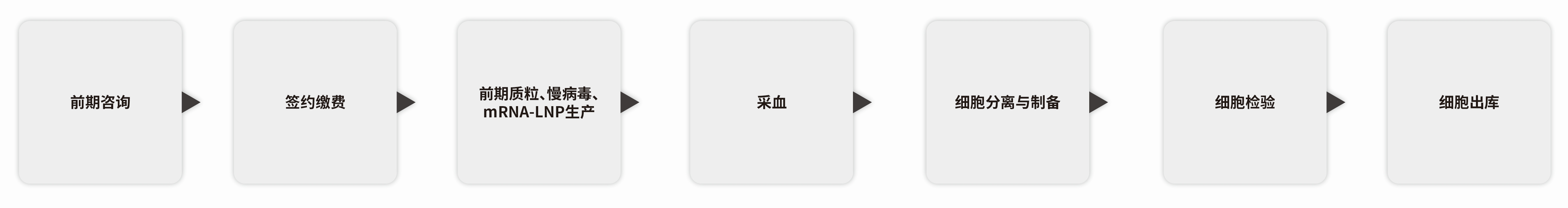 NK细胞技术开发服务流程