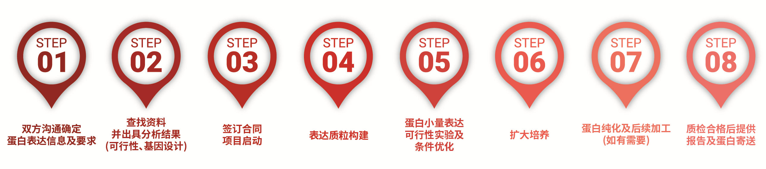 大肠杆菌重组蛋白表达