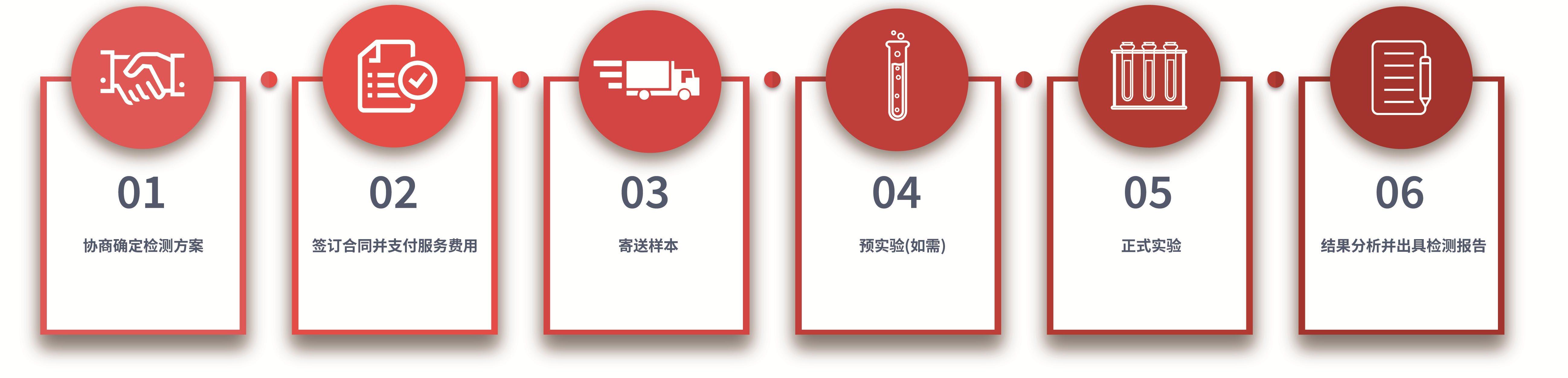 蛋白质免疫印迹服务