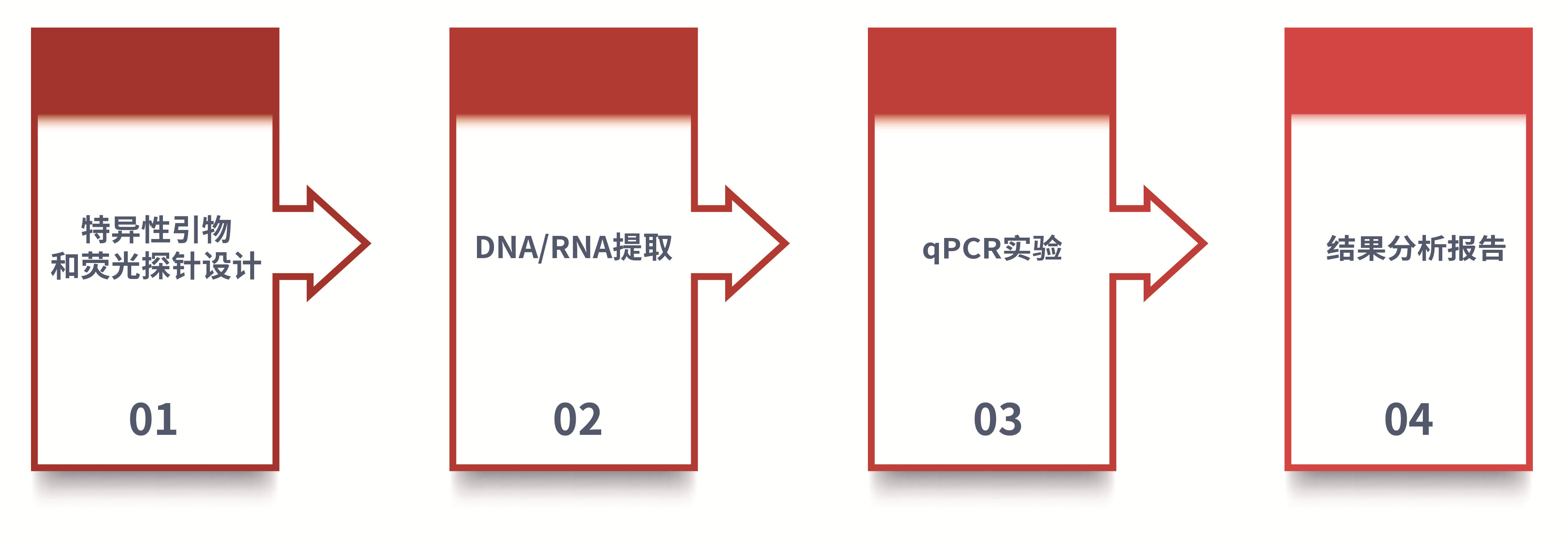 荧光定量PCR_qPCR荧光定量检测服务