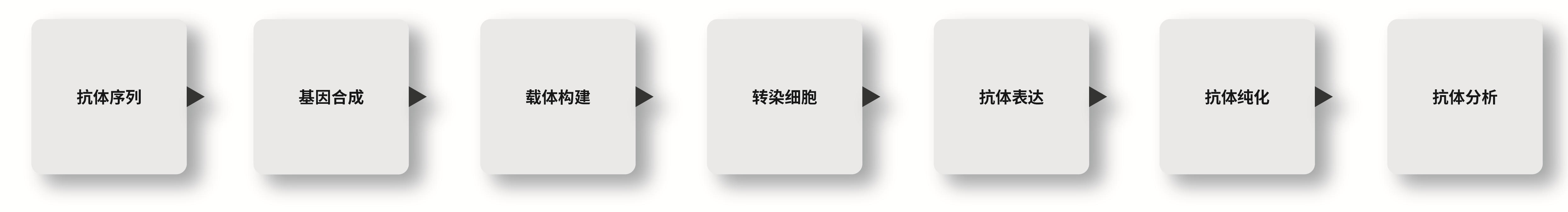 重组抗体定制