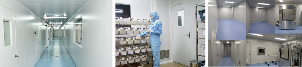 动物实验服务_实验动物模型构建