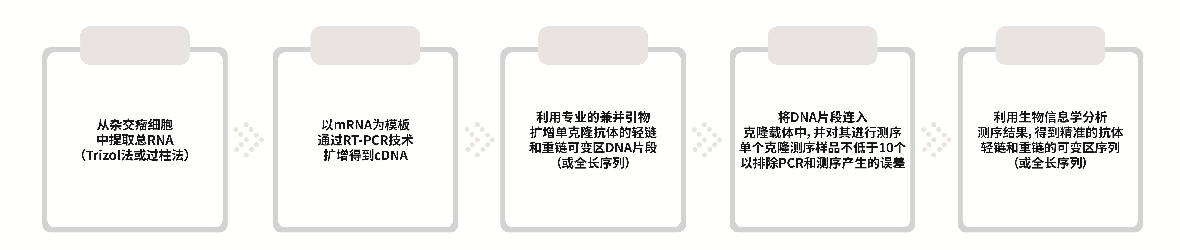 杂交瘤测序_杂交瘤细胞抗体测序