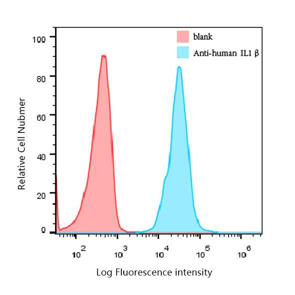 IL1β