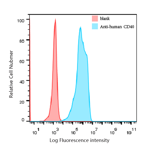 CD40