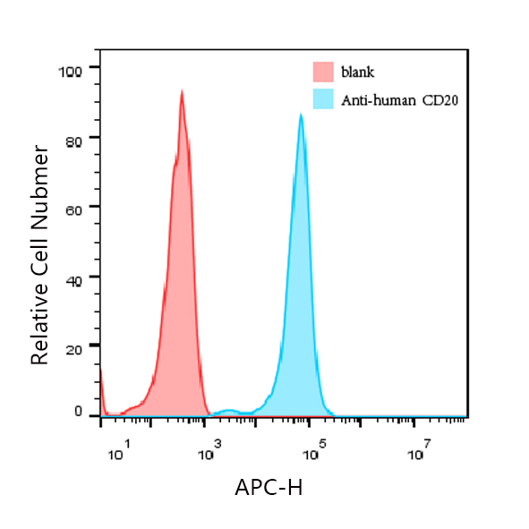 CD20