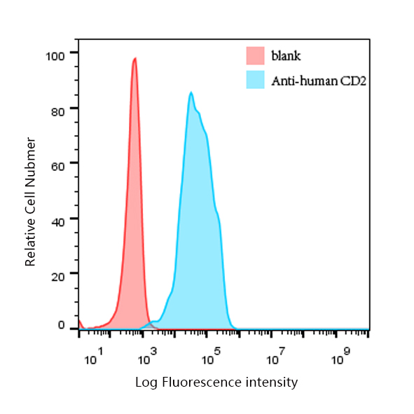 CD2