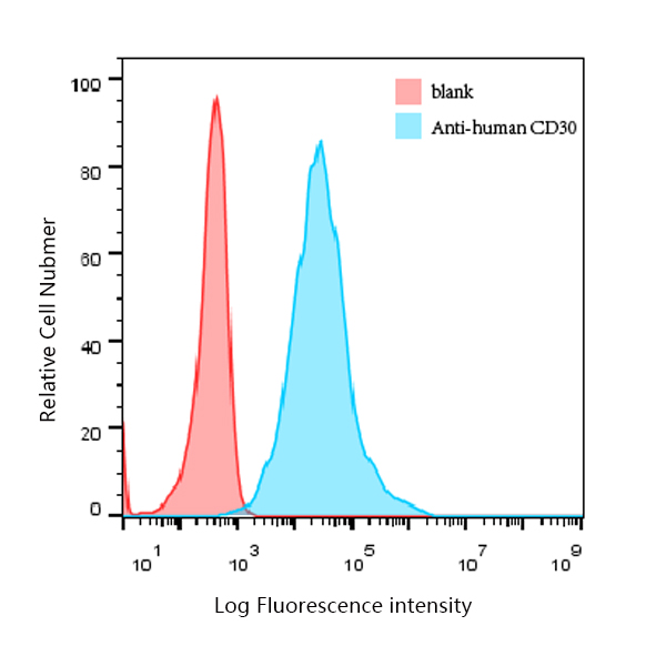 CD30