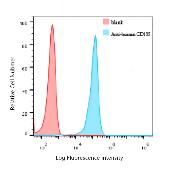 CD135(FLT3)
