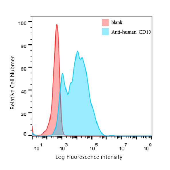 CD10