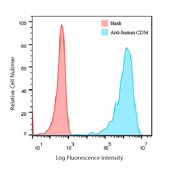 CD34