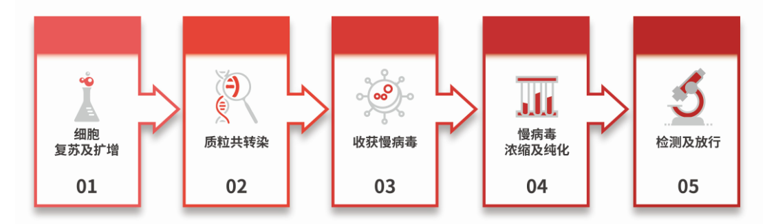 远泰生物慢病毒载体技术，助力CGT药物研发