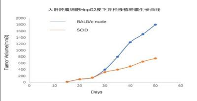 动物实验服务包括哪些
