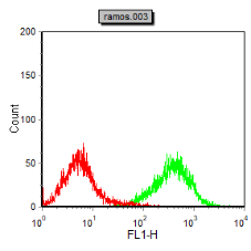 Mouse Monoclonal Antibody to TLR10