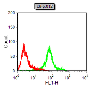 使用NOS2小鼠单抗(绿色)和阴性对照(红色)对C6细胞进行流式细胞术分析