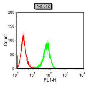 使用NOS2小鼠单抗(绿色)和阴性对照(红色)对NIH/3T3细胞进行流式细胞术分析