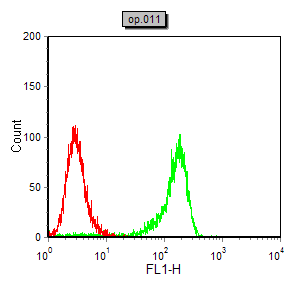 使用NOS2小鼠单抗(绿色)和阴性对照(红色)对COS7细胞进行流式细胞术分析